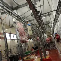 Au coeur de l'abattoir d'Antrenas
