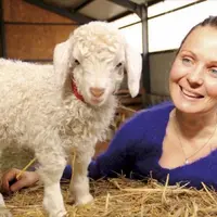 Après 20 ans comme infirmière libérale sur le Cézallier, Marilyne Théron vient de se lancer dans l'élevage de chèvres angora et la transformation de l