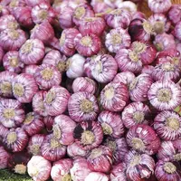 Saint-Étienne-du-Valdonnez et Saint-Alban-sur-Limagnole ont tous deux lancé leurs marchés de producteurs en 2021. Un élan à insérer dans le cadre plus