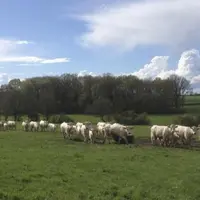 Il est temps de se préoccuper de son pâturage, et réaliser les aménagements nécessaires pour une bonne mise à l’herbe et un pâturage réussi.