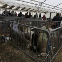 Quatre-vingts participants sont attendus au concours.