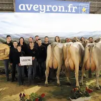  Lors du concours interdépartemental des journées vaches laitières à Baraqueville, les Lozériens ont pu démontrer les qualités de leurs élevages en ra