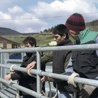 L’après-midi, les éleveurs et salariés participants à la journée ont pu mettre en pratique les différentes méthodes de contention.