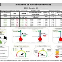 Comme chaque mercredi, voici les « Indicateurs de marché viande bovine » de la semaine 50, proposés par la FNB pour faciliter la lecture du marché de