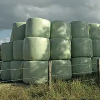 Manipulez les balles avec précaution et préférez une hauteur maximale de trois balles disposées en quinconce