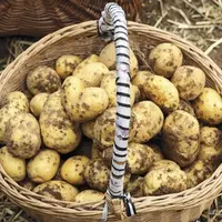  Deux concepts novateurs de magasins alimentaires ont récemment ouvert en France qui brouillent les frontières entre circuits courts et supermarchés.