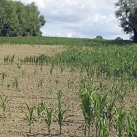Le 12 avril, l’Italie a présenté un décret « sécheresse » pour faire face à une sécheresse précoce qui touche particulièrement le nord-est de l’Italie