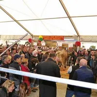 Pour des retrouvailles, elles ont été réussies ! Le festival des Bœufs de Pâques à Laguiole a fait le plein le week-end dernier. Le plein de visiteurs