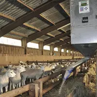 « Certains éleveurs refusent des outils de mise à distance des animaux, notamment dans l’automatisation de l’alimentation », constate Claire Manoli, r