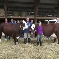 Mardi 22 septembre s'est tenue l'assemblée générale du syndicat Abondance lozérien, à Saint-Amans, au Gaec Pic.