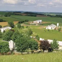 Le ministère de l’Agriculture a reçu les premiers résultats de la consultation sur la déclinaison française de la prochaine Pac, qui mettent largement