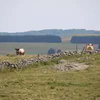 Le 28 septembre à Langogne, la structure Relance-Occtav (Gard Lozère) a tenu son comité de pilotage pour présenter ses missions et ses actions sur le