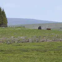 Modernisation des abattoirs, diminution des intrants, structuration des filières. Une petite moitié du plan de relance agricole a été détaillée par le