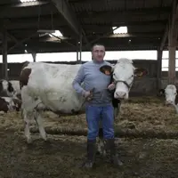 Albert Privat, éleveur à Chantéruejols avec Lavande, Montbéliarde.