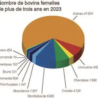 La chambre d'agriculture de Lozère propose de nombreuses prestations techniques en élevage qui viennent s'adapter aux différents besoins des éleveurs.