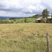 En 2019, les exploitations lozériennes ont été touchées par un épisode de grêle en juin, suivi d’un été caniculaire, entraînant des baisses de rendeme
