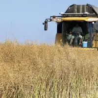 La croissance de la valeur de la production agricole de l'UE devrait connaître durant les dix prochaines années un fort ralentissement du fait princip