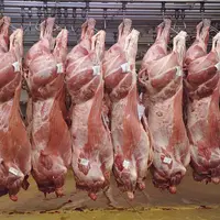 Le texte prévoit un quota annuel de 99 000 tonnes de viande bovine bénéficie d’un taux préférentiel à 7,5 % de taxes.