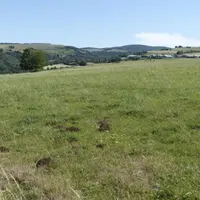 Après la fauche, la lutte directe est à réaliser sur les quelques foyers de campagnols visibles