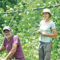 Il y a de la poésie et une certaine philosophie, dans leur manière de pratiquer l'agriculture. Frédéric et Laure Cébron de l'Isle ont eu plus d'une vi