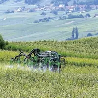 La récente annonce de l'Anses d'interdire la majorité des usages du S-métolachlore a fait resurgir le sujet de la gouvernance des autorisations de mis
