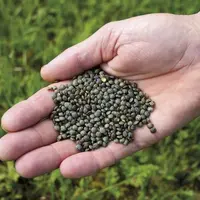 Les plans alimentaires territoriaux (PAT) récents délaissent les enjeux environnementaux au profit de la question alimentaire, indique une note de l'O