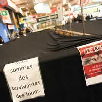 Le jour de l’ouverture du salon international de l’agriculture, des éleveurs de brebis avaient couvers les enclos avec des draps noirs, en signe de de