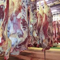 Globalement, la demande par habitant de produits alimentaires de base stagnera entre 2016 et 2025, sauf dans les pays les moins avancés.