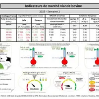 Comme chaque mercredi, voici les indicateurs de marché viande bovine , proposés par la FNB pour faciliter la lecture du marché de la viande bovine par