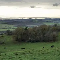 L’herbe, l’ADN de l’élevage du Massif central.