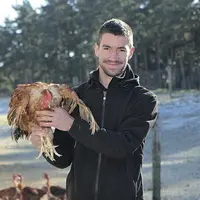 Une fois transformées, les volailles de la Maison Delcros prennent plusieurs chemins : vente à la ferme, marchés et magasin de producteur.
