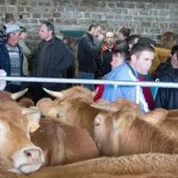 Pour la Pache, le parking couvert de l’Appétit, à Mende, prend des allures de marché aux bestiaux.