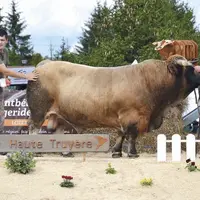 Dimanche 26 septembre les Jeunes agriculteurs du canton du Malzieu ont organisé le comice de la Haute-Truyère, à Saint-Alban-sur-Limagnole. Les éleveu