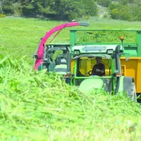 L’ensilage est un temps fort d’entraide agricole et il est très souvent réalisé avec du matériel en Cuma.