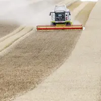 La production agricole se redresserait en 2017 après avoir lourdement chuté l’an passé en raison de conditions météorologiques exceptionnellement mauv