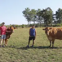 Niagara est une doublonne qui avait été primée au concours de Saugues, il y a deux ans. Isa est une vache de sept ans.