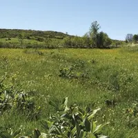 La réunion informelle des ministres de l’Agriculture de l’UE qui se tiendra du 30 août au 1er septembre à Coblence (Allemagne) donnera le coup d’envoi