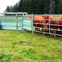 Le parc d’attente permet de rassembler les animaux avant manipulation. Pour manipuler vos bovins en sécurité, optez pour la contention mobile.