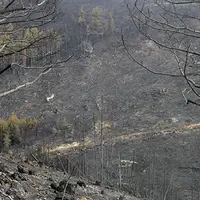 Plusieurs mesures sont éligibles sont le cadre de la lutte contre les incendies : broyage manuel, broyage mécanique ou brûlage dirigé, etc.