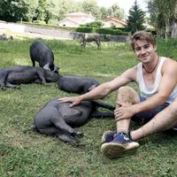 Simon Pascault, repreneur de la Ferme Perraud, accueille des porcs de Bourdeaux au sein de la dernière ferme de Lyon.
