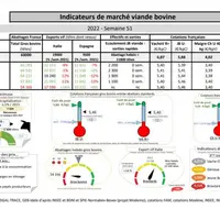 Comme chaque mercredi, voici les « Indicateurs de marché viande bovine » de la semaine 51, proposés par la FNB pour faciliter la lecture du marché de