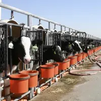 Les problématiques de revenu des agriculteurs et d'étiquetage de l'origine ne touchent pas que la France ou l'Europe. Un récent décret présidentiel am