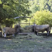 La Commission européenne envisage de consacrer quelque 30 % des fonds de la politique de promotion des produits agricoles en 2021 au secteur biologiqu