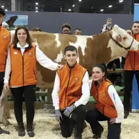 Au salon de l'agriculture, du 25 février au 5 mars, les concours se sont enchaînés. Et si en concours bovins, les Lozériens se sont distingués, les él