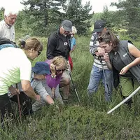 Groupe des participants observant les droséras.