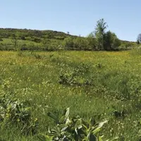 Une nouvelle association de cyclisme s’est créée ce mercredi 1er juillet dans le PNR de l’Aubrac. Son ambition est d’encourager les pratiques de mobil