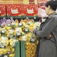 Les pommes de terre que nous consommons aujourd’hui sont issues de variétés très anciennes qui n’avaient pas les mêmes caractères gustatifs.