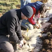 Lundi 23 novembre a eu lieu la distribution des essences qui composeront les haies des propriétaires volontaires sur le causse Méjean, à la Borie, Hur