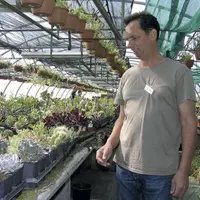 Pascal Brenier possède aujourd'hui trois serres de cactées.