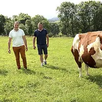 Avec une visibilité à six mois sur le prix du lait AOP, le groupe Sodiaal, acteur majeur de l’AOP cantal, donne des perspectives favorables aux produc